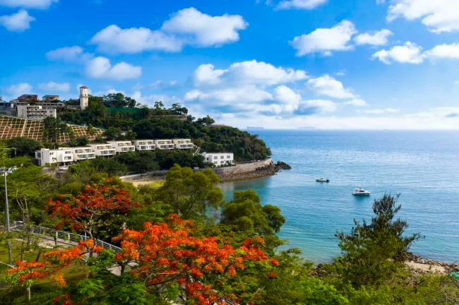 《上企沙海景》朱芷婷(1).jpg