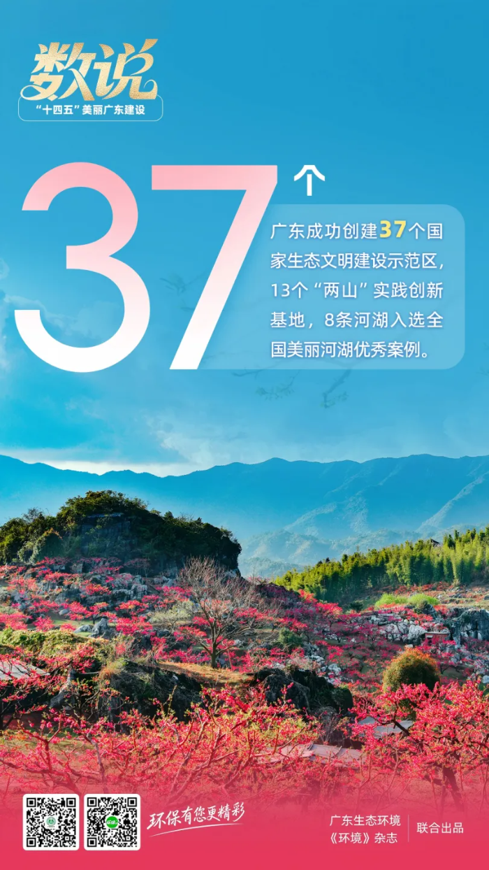 已编辑图片