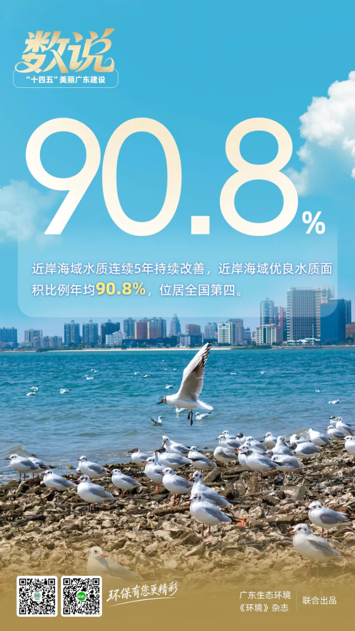 已编辑图片